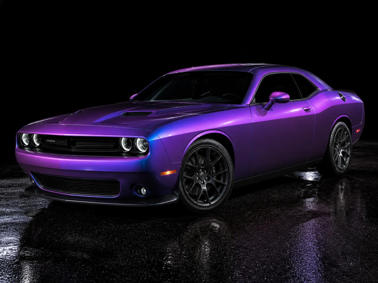 Color-Shift Challenger — Chameleon Wrap by Wrap Zone
